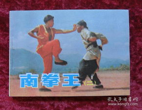 南拳王2电影完整版,介绍。