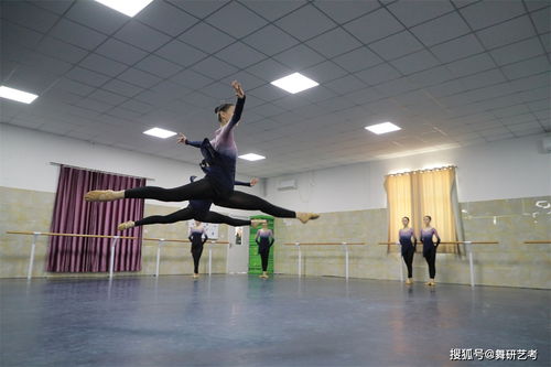 舞蹈界的高等学府，全球舞蹈表演艺术学校排名揭晓