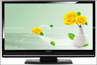 平板电视十大品牌,2010年十大液晶平板电视品牌排行榜,液晶平板电视排名 2010