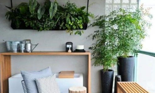 卧室养什么绿植,适合养在卧室的绿植有哪些？