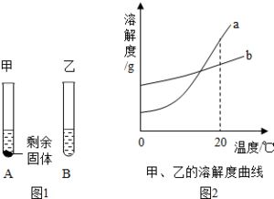 水和以水为溶剂制成的溶液,与人们的生活有着密切的关系. 1 近几年我国不少水域多次发生严重的 赤潮 