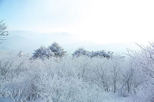 风景冬天下雪图片大全- 搜狗图片搜索