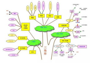 中考的思维导图怎么画啊