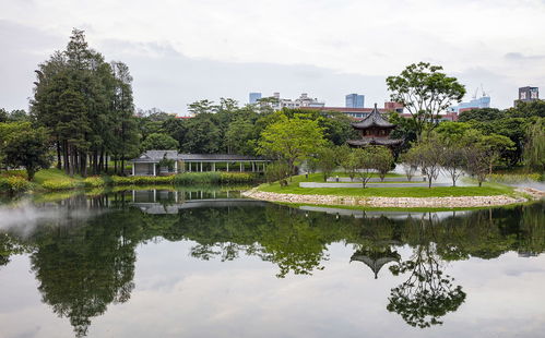 深圳南山区改造升级后的四海公园10月1日开园迎客