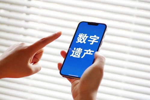 微算力钱包,算力蜂挖矿app