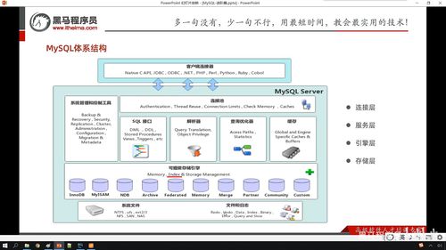 mysql储存引擎类型有哪些(请列举MySQL中常见的数据类型)