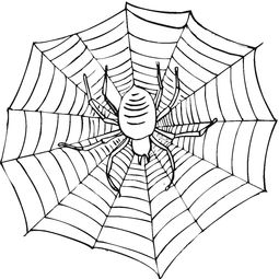 蜘蛛简笔画,纳斯卡线条也成了未解之迷