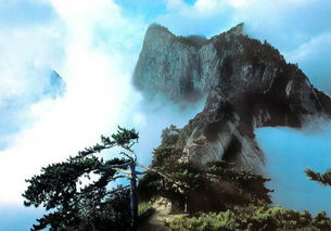 华山旅游路线,华山旅游攻略探秘奇峰之巅，邂逅壮美景色！