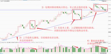 谁能解释一下上证50指数？