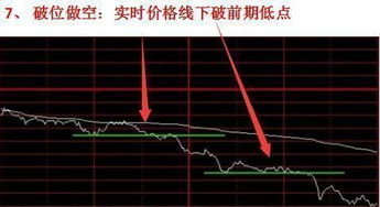 什么地方有股票高频分时数据提供或能导出的软件