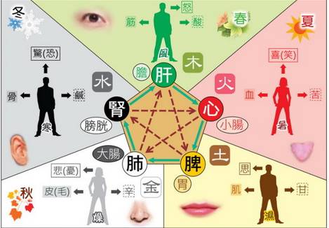 有人说股票为金水，五行缺火不能炒股票，那我能进行哪些方面的投资呢？谢谢！