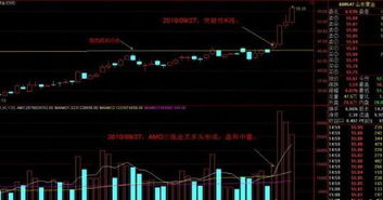 什么是周线，周线是怎么看的？我新学炒股的，请多多指教。