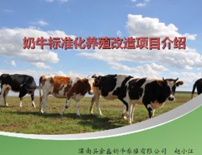 奶牛标准化养殖改造项目介绍 