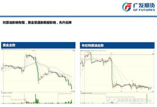 广发期货怎么看历史盈亏 广发期货怎么看历史盈亏 行情