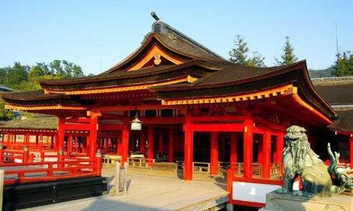 日本神社现中文祈福牌,祈福内容却成亮点,网友直呼 太有喜感了