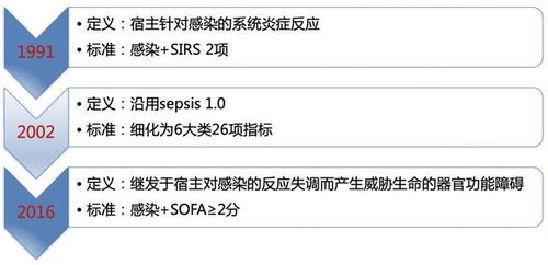 脚注查重：SEO中的双刃剑