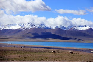 西藏现在可以去旅游吗
