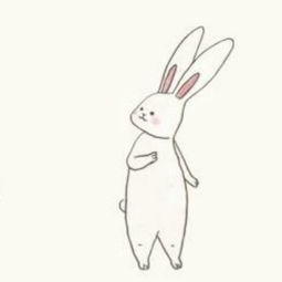 有人知道这个兔子叫什么名字,怎么找到类似的这种兔子表情图或者头像 