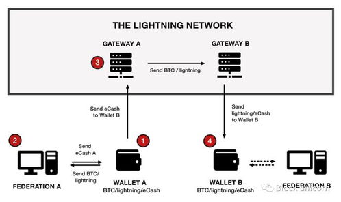 eth全节点钱包,全节点钱包和中心化钱包的区别