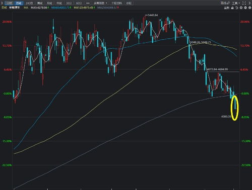 今日没什么消息，为什么医药板块跌的这么多啊