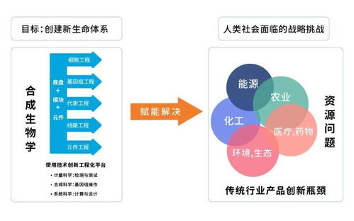 CB Insights 中国合成生物学全球初创公司图谱,万亿美金市场现状梳理