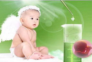 香港能做试管婴儿吗,香港：实现生育梦想的试管婴儿天堂