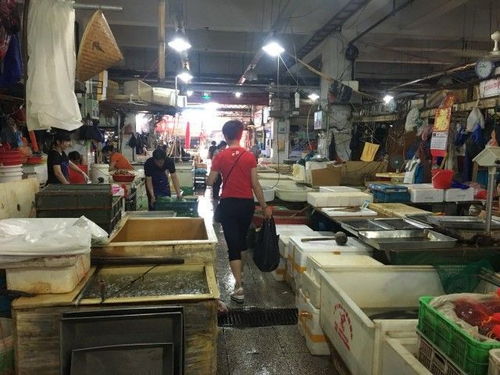 渔船开禁后首批海鲜上市 苏州的海鲜市场迎来第一轮降价