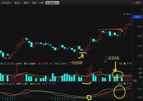 MACD金叉第20次出现后，新余国科的买入胜率如何？数据揭示真相