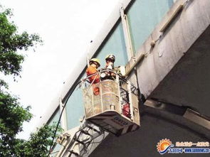 猫被困在高架桥连接缝里 消防官兵用升云梯将其救下