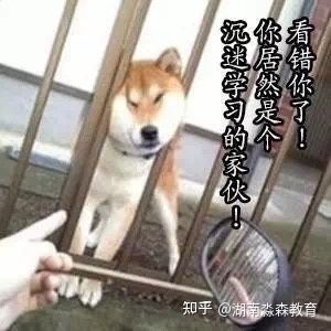 辞旧迎新励志段子精选  风犬少年的天空经典台词？