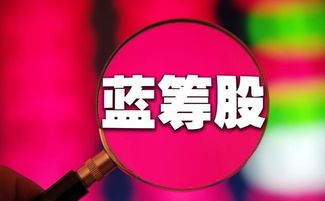 大盘股、蓝筹股指的是什么？