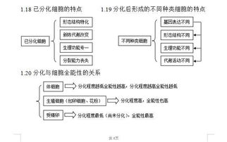 参加高中生物竞赛有什么好处