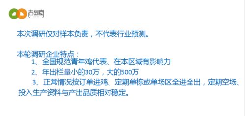 2020年6月青年鸡调研报告 附数据详情 