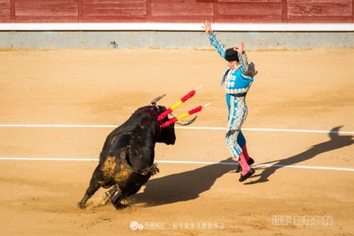 斗牛,即将消失的西班牙国粹 乐途旅游网