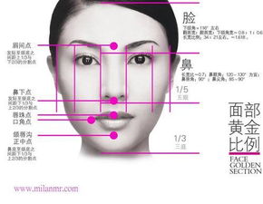 最标准的脸是多长 