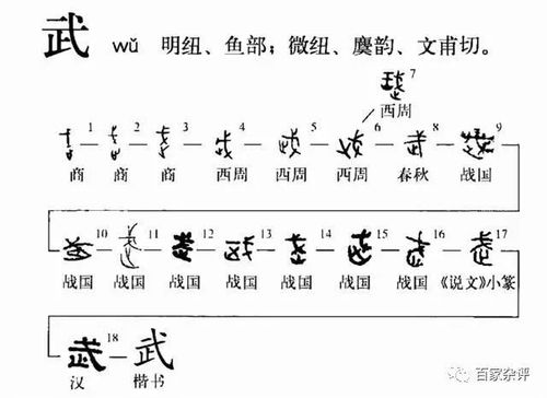 武字本意是什么,甲骨文揭开真相,根本不是止戈为武