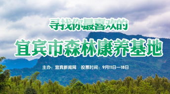 宜宾这7个地方,被省上点名公示 快看在你家附近没