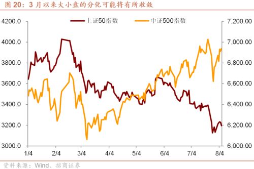 怎么会知道那些股票是大盘股、新股 概念股 等等