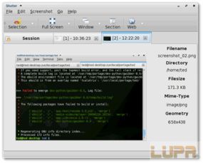 linux怎么截图,轻松掌握多种截图方法