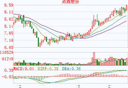 成霖股份这个股票的基本面怎么样，我是新股民看不太懂