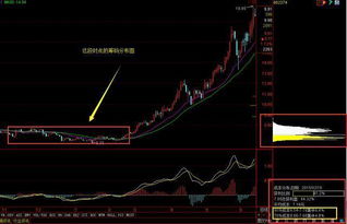 筹码的集中度90 9.2%什么意思，请教高手