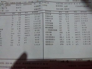 华峰超纤与华峰氨纶是一个集团吗