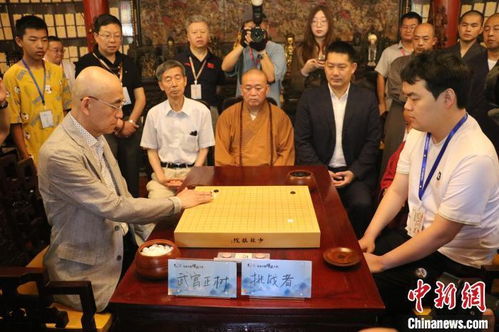 围棋*陈扬,全国围棋*一览表