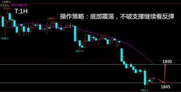 纸浆价格低位持续震荡，国际原糖短期保持高位区间震荡。