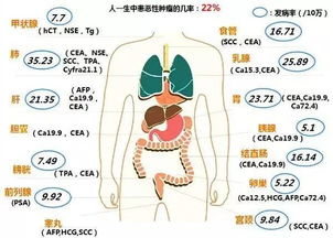 体检做肿瘤标志物筛查没有问题，一个月后得了淋巴瘤是什么原因(肿瘤标记物正常是不是可以排除淋巴瘤)