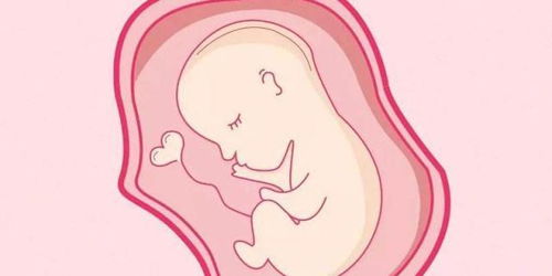 进行试管婴儿助孕可以避免输卵管妊娠的发生吗？