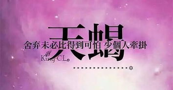 天雨视频直播全集 天雨资料大全 YY官方 