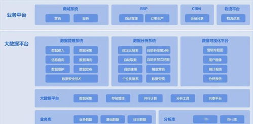 双向链表查重工具：提升数据管理效率