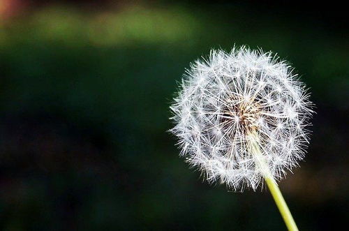 7月,输掉爱情,埋葬过去,3星座破茧成蝶,蜕变完美自己