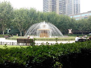 上海复兴公园,上海复兴公园：繁华中的静谧
